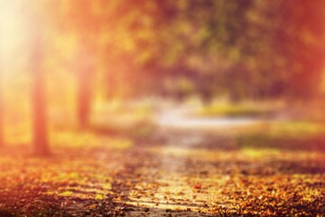 abstract autumn colored leaf in nature with background and moody colors