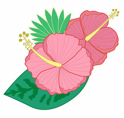 Cute vector hand-drawn tropical flowers isolated on white background. Hibiscus with palm leaves