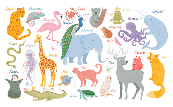 Set of funny adorable animals. Exotic jungle and savanna animals. Childish characters. Forest inhabitants. Vector illustration