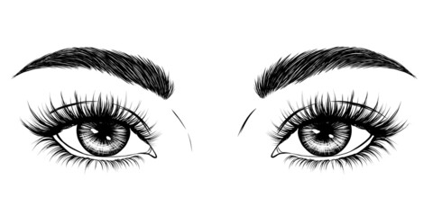 Fototapeta premium Eyes, eyebrows, long eyelashes. Hand-drawn black white fashion illustration. Vector EPS 10.