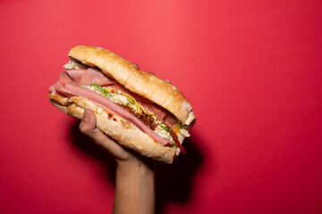 a hand holds a barda cake, mexican cake, mexican food, mexican sandwich with chiruzo, ham, avocado, white cheese, ceboola, tomato on a french bread, bolillo bread with a red background, Tampico dish