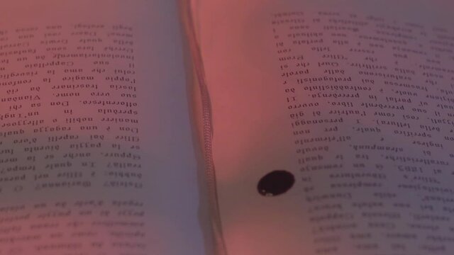 a drop of blood falls on a book of magic
