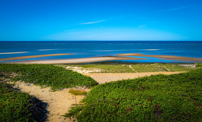 Seascape with deep blue ocean and scattered sandbars at low tide in Great Island in Wellfleet on Cape Cod