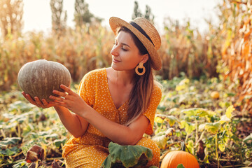 Pumpkins. Woman farmer picking autumn crop of pumpkins on farm. Agriculture. Thanksgiving and...