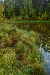 Obraz premium A picturesque lakein early autumn