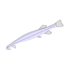 Animal pez el candiru