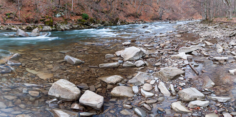 The Wetlinka River flowing through the Sine Wiry Reserve, the Bieszczady Mountains
