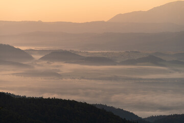 Fototapeta Pieniny we mgle o wschodzie słońca widok z Turbacza na Pieniny i dolinę Dunajca obraz