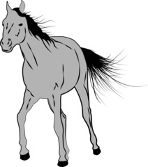 Sketch style running horse stallion vector illustration
