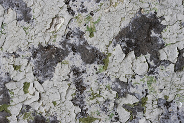 Peeling paint on the wall. Old concrete wall with cracked flaking paint. Weathered rough painted surface with patterns of cracks and peeling. High resolution texture for background and design. Closeup
