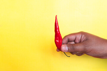 An hispanic hand holding a red chilli pepper on a yellow background. Traditional spice of mexican, latin american and hispanic food.                             