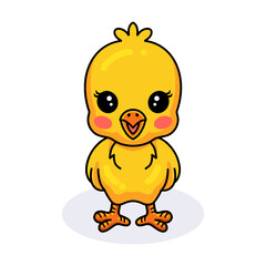 Cute little yellow chick cartoon