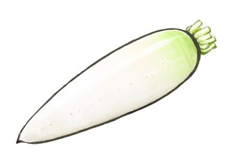 大根