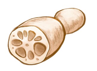 れんこん © 由果 鈴木