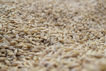 Grain
