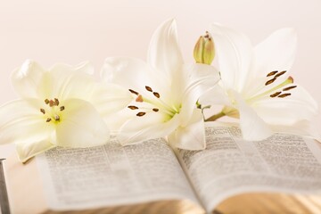 Fototapeta na wymiar bible book and white lily flower