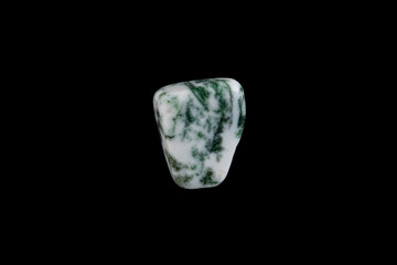 Close-up tree agate stone isolated on a black background