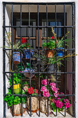 Ventana rústica o de pueblo con reja de hierro y macetas con flores tradicional andaluza, española y mediterránea.