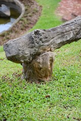 Obraz premium log chair in nature garden
