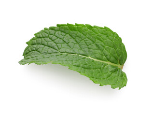 Obraz premium Fresh mint leaf on white background