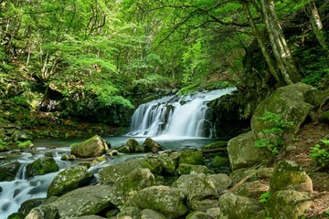 静寂に包まれた夏の蓼科大滝の情景＠長野