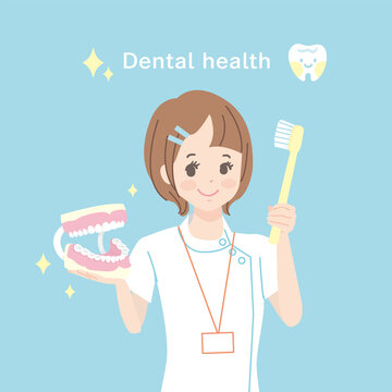 歯科助手 の画像 29 485 件の Stock 写真 ベクターおよびビデオ Adobe Stock