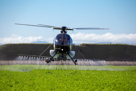 Kirwee, Canterbury, New Zealand, March 26 2021: A helicopter sprays a crop of lucerne on a farm demonstration in Canterbury, New Zealand