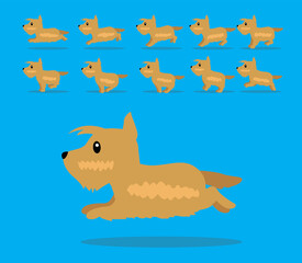 Animal Animation Sequence Dog Scottish Terrier Cartoon Vector Gold