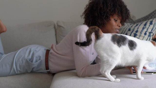 Young black woman with afro hair laying down on couch using her notepad journal and her cat comes in