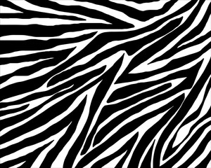 Vector zebra skin.