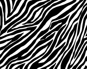Plakat zebra skin texture.