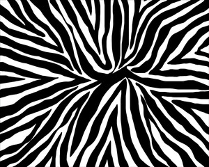 seamless pattern with zebra skin.vector eps10