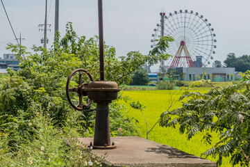 Rusted irrigation gate valve in rural countryside