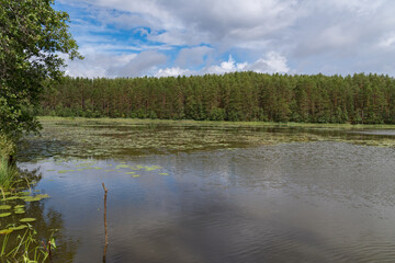 Beautiful panoramic view of forest lake Morozovskoe, Vyaryamyanselkya ridge, Karelian Isthmus, Lleningrad region, Russia.