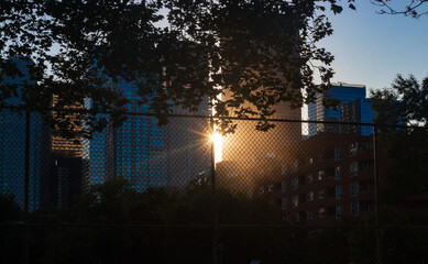 sunset in the city