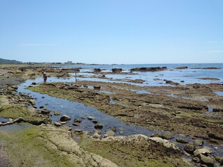 浜, 海, 惰性で進む, 海, 水, 砂, 風景, 空, 自然, 海岸線, 入り江, アイランズ, 雲, 旅行, サマータイム, 岩, 景色, 岩, 岸, 休日, 海景, ロッキー, バカンス, 波, 太陽