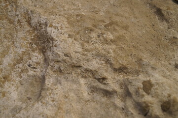 Close-up pattern of natural stone