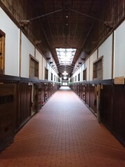 回廊, 廊下, 建築, ホール, とびら, ビル, ゆか, ホテル, 長い, 光, オフィス, 中身のない, 部屋, エントランス, 道のり, とびら, 病院, 壁, カーペット, 遠近法, デザイン, 一節, トンネル, くだらない人