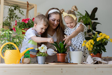 mother with her son and daughter in fasting plant or transplant indoor flowers. Little helper by...