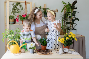 mother with her son and daughter in fasting plant or transplant indoor flowers. Little helper by chores. Concept of spring time, home gardening, child house-help, caring houseplants, lifestyle.