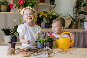a boy and a blonde girl brother and sister of European appearance plant and transplant and water indoor flowers from a yellow watering can. Little helper by chores. Lifestyle. High quality photo