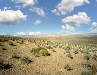 Encompassing desert prairie landscape in Lake Powell Arizona