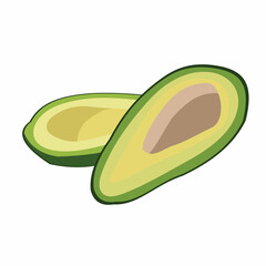 avocado fruit sliced vector design