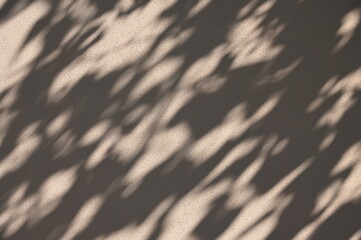 Abstract gray shadow background of natural leaves tree branch falling  wall texture for background and wallpaper, nature shadow pattern art on wall
