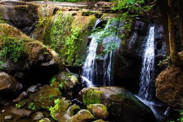 waterfall in the forest