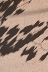 Abstract gray shadow background of natural leaves tree branch falling  wall texture for background and wallpaper, nature shadow pattern art on wall
