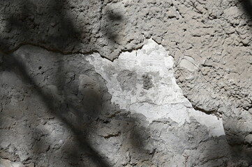 Abstract gray shadow background of natural leaves tree branch falling  wall texture for background and wallpaper, nature shadow pattern art on wall
