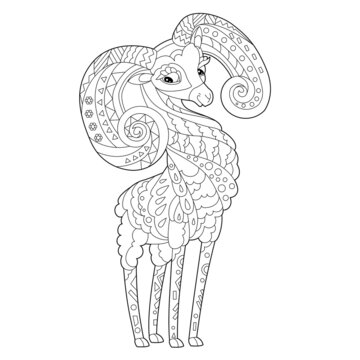 Contour linear illustration for coloring book with pretty cute bighorn. Beautiful animal,  anti stress picture. Line art design for adult or kids  in zen-tangle style, tattoo and coloring page.