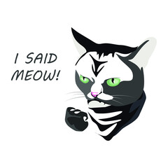 I said meow. Head cat with inscription. Drawing for printing. Funny cat illustration. Sticker with  cat.  cat in the headscarf shows his fist.