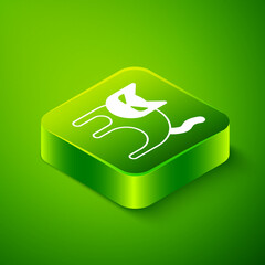 Isometric Black cat icon isolated on green background. Happy Halloween party. Green square button. Vector